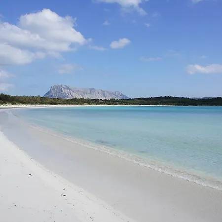 Corso Umberto 게스트하우스 올비아