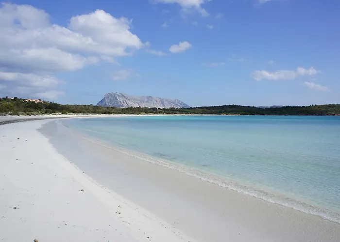 Corso Umberto בית הארחה אולביה